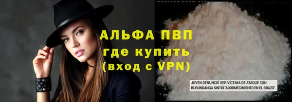 индика Алексин