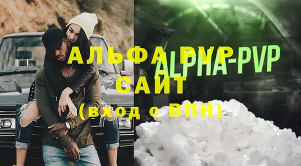 индика Алексин