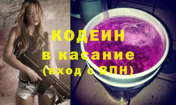 индика Алексин