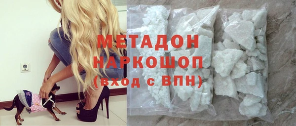 индика Алексин